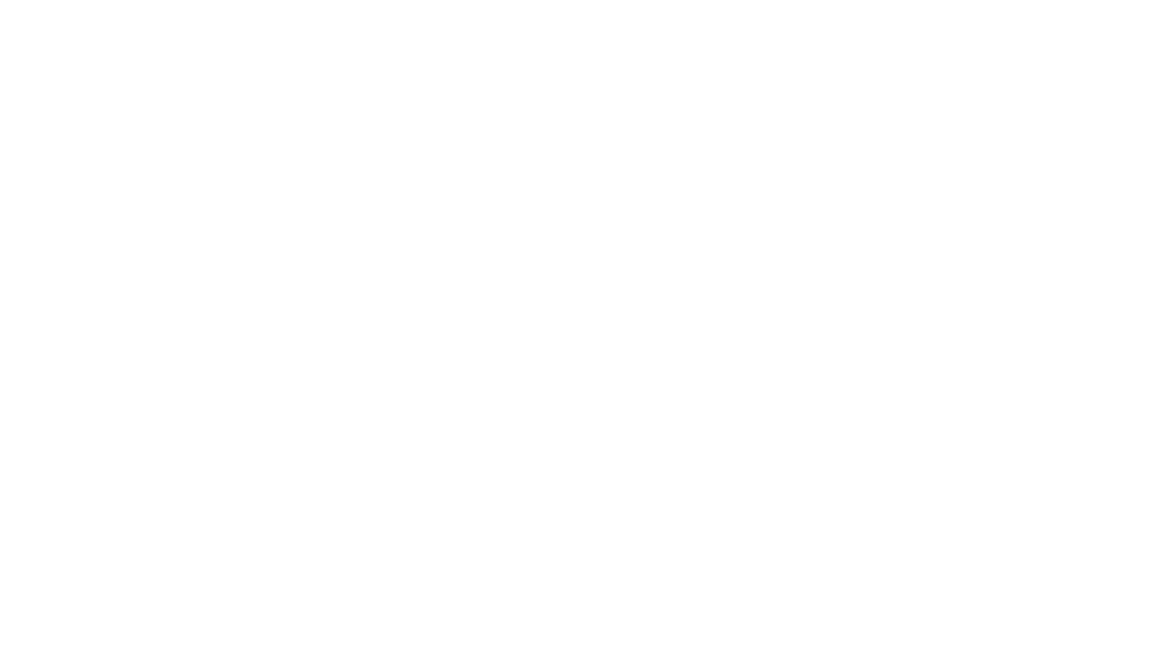 White Everest Web Studio logo with transparent background and white text, with a white triangle.