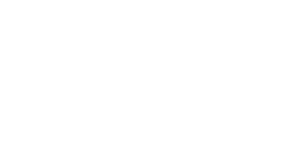 White Everest Web Studio logo with transparent background and white text, with a white triangle.